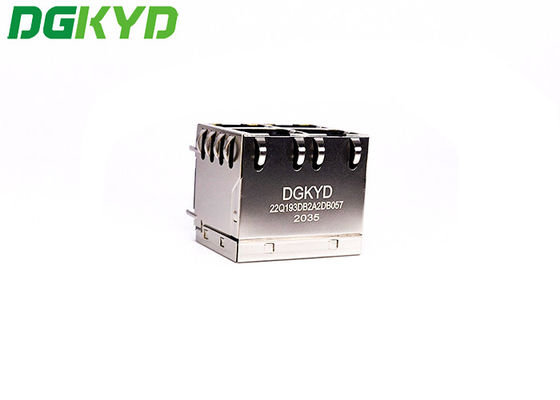 1 Gigabit 2x2 RJ45 Network Connector With PA66 Plastic Housing